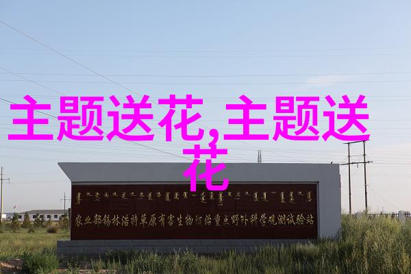 朋友演出送什么花