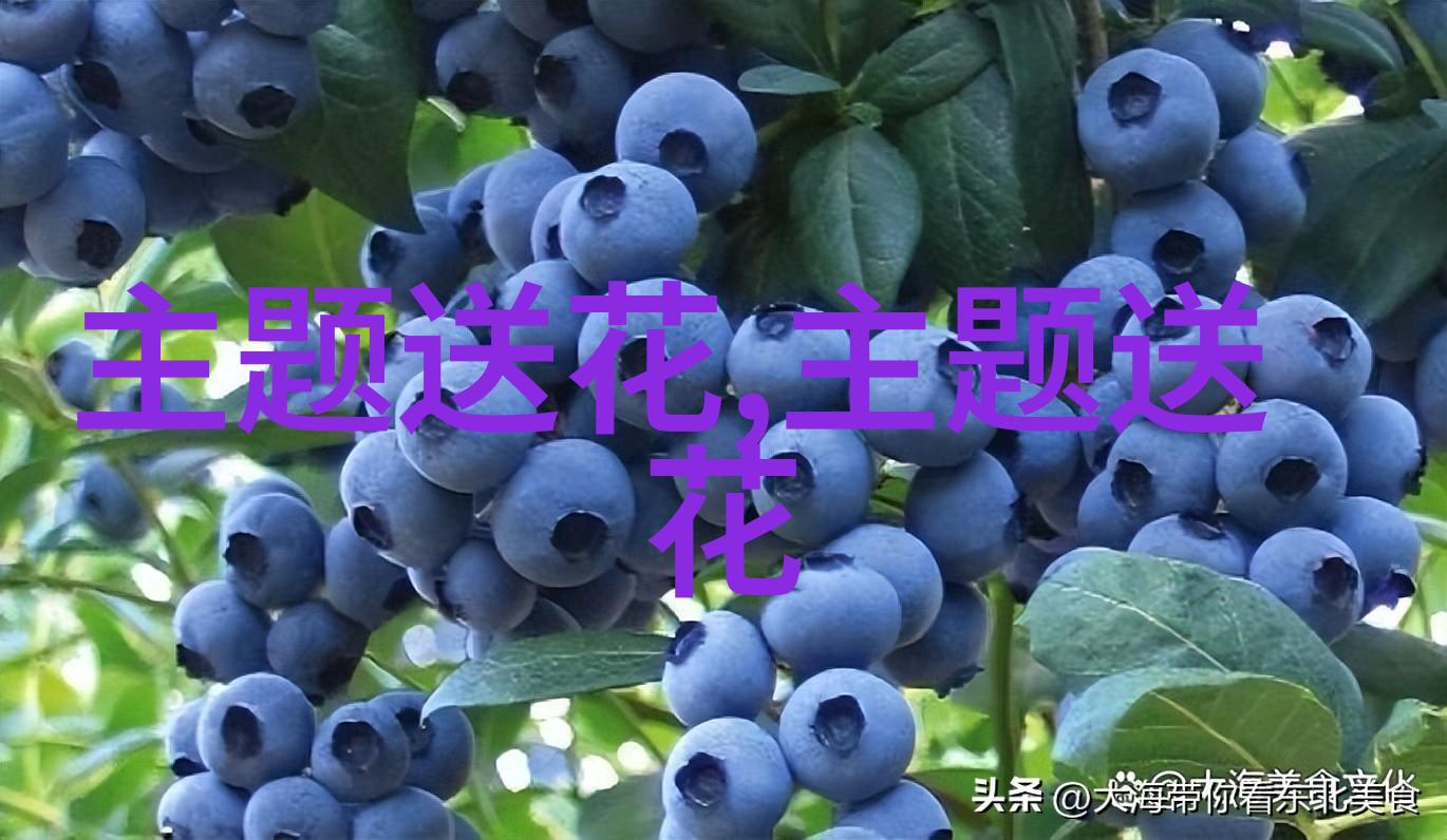 追女孩送花送几朵